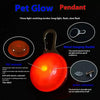 1 Led Luminous Dog Cat Collar Glowing Pendant | Night Safety Accessory