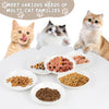 Cat Kitten Non-Slip Food & Water Bowl 5 Inch S26 | UK