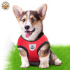 Dog Vest Walking Leash Polyester Adjustable Mesh Dog Collar UK