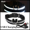 3 Modes LED Dog Collar USB Rechargeable Light Up Pet Collar UK