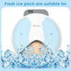 2x CAT MATE Ice Packs Replacement for C500 Automatic Feeders | New UK