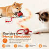 Automatic Rolling Dog Ball Toy Rechargeable Interactive Exercise Ball for Dogs