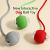 Automatic Rolling Dog Ball Toy Rechargeable Interactive Exercise Ball for Dogs
