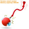 Automatic Rolling Dog Ball Toy Rechargeable Interactive Exercise Ball for Dogs