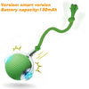 Automatic Rolling Dog Ball Toy Rechargeable Interactive Exercise Ball for Dogs